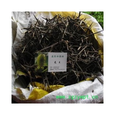 皂角刺 统货 产地 四川省成都市双流县