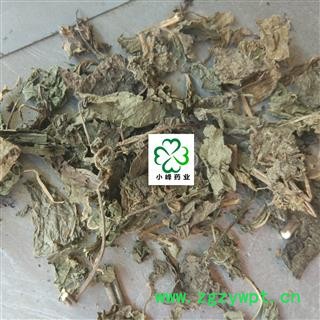 紫苏叶 苏叶 统货 新货 气味大 纯干 无虫蛀 产地 山东省图2