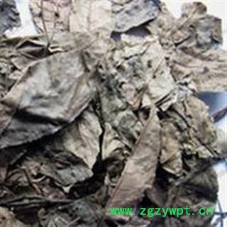 小丽百草行青钱柳叶  青钱柳叶 新货 烘干图2