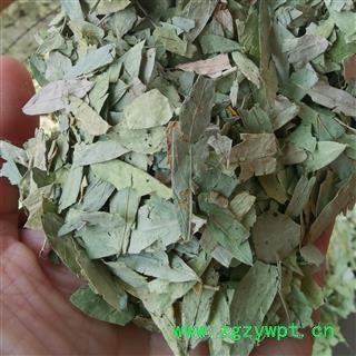 小丽百草行 番泻叶 番泻叶茶 旃那叶 泻叶符合药典图2