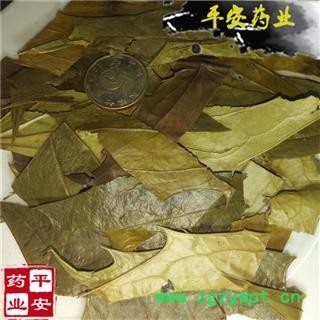 平安药业 功劳叶 功劳木 枸骨叶 大叶黄柏 老鼠刺 正品图2