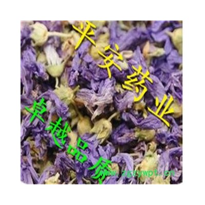 紫罗兰 草桂花 四桃克 草紫罗兰 品质保证 卓越品质