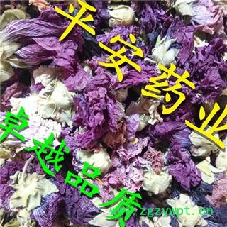 紫罗兰 草桂花 四桃克 草紫罗兰 品质保证 卓越品质图2