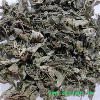 大艾叶新货颜色青艾叶统片 产地 安徽省图2