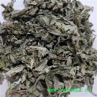 大艾叶新货颜色青艾叶统片 产地 安徽省图3