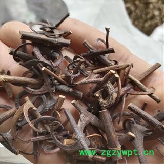 选装钩藤 含钩80% 质量保证图3