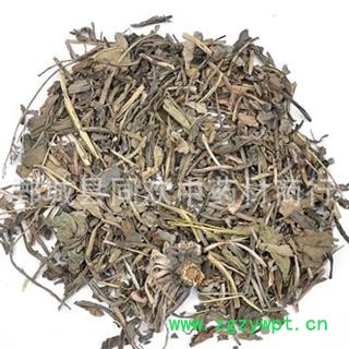 【新货大青叶】@【同欢药材】中药材批发供应  规格齐全 量大从优  产地 甘肃省图3