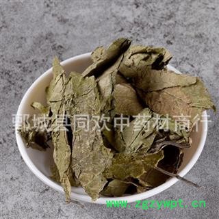 【杜仲叶】@【同欢药材】中药材批发供应  规格齐全 量大从优 产地 四川省图3