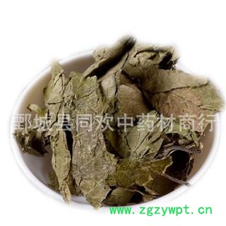 【杜仲叶】@【同欢药材】中药材批发供应  规格齐全 量大从优 产地 四川省图2