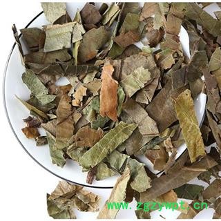 枇杷叶 枇杷叶精选货 产地 山东省图2