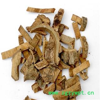 海桐皮 统货 产地 四川省德阳市广汉市图2