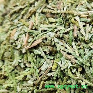 侧柏叶 中药材侧柏叶统货 产地 山东省安国市场批发零售大全图2