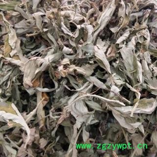 中药材艾叶 河南大艾叶 吸尘切货 安国市聚益中药材批发零售大全图4