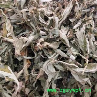 中药材艾叶 河南大艾叶 吸尘切货 安国市聚益中药材批发零售大全图3