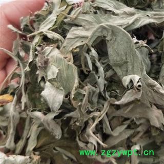 中药材艾叶 河南大艾叶 吸尘切货 安国市聚益中药材批发零售大全图2