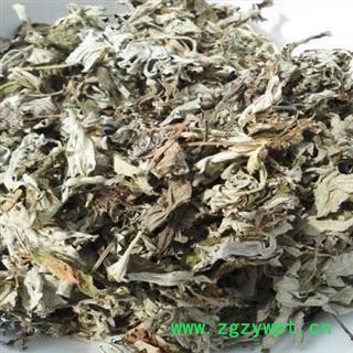 诺源药材行中药材中药材艾叶草 陈艾草图2