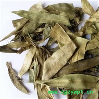 安祁名药中药材夹竹桃叶 柳叶桃  九节肿图2