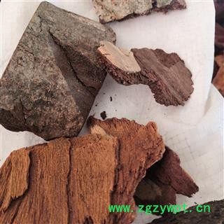 诺源药材行中药材地枫皮 追地风  钻地风图2