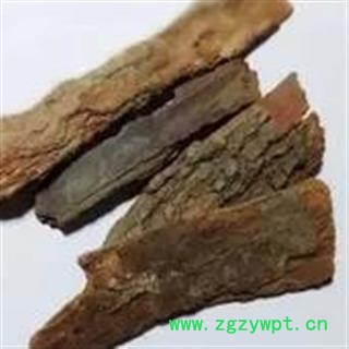 诺源药材行中药材优质香樟木 樟木皮图2