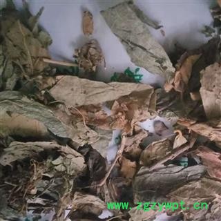 安祁名药正品紫珠叶 小叶紫珠叶 够含量图2