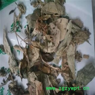 安祁名药正品紫珠叶 小叶紫珠叶 够含量图3