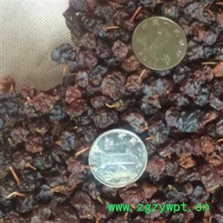 安祁名药正品蛇葡萄图2