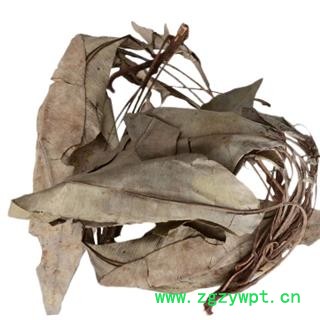 安祁名药马来西亚野生优质东革阿里 卡其花图4