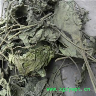 芙蓉叶 青色统货 产地 四川省成都市双流县 库存 500千克可售图3