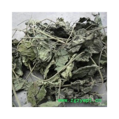 芙蓉叶 青色统货 产地 四川省成都市双流县 库存 500千克可售