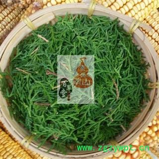 【1件3斤 可批】侧柏叶  秦岭野生 现采 原始森林 干净无硫手切 1500g图3