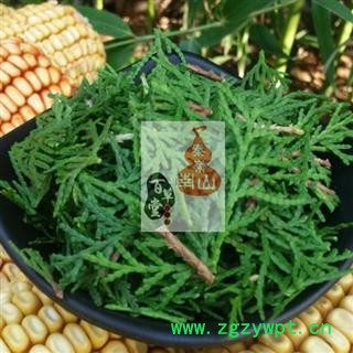 【1件3斤 可批】侧柏叶  秦岭野生 现采 原始森林 干净无硫手切 1500g图4