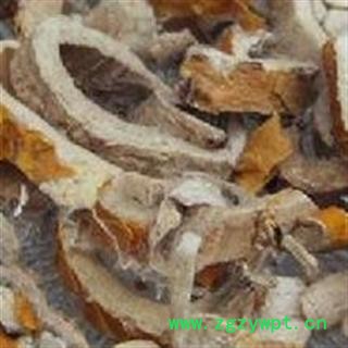 桑皮 精品桑白皮好统货 0.3筛以上 颜色白 无虫蛀无霉变 产地 四川省图2