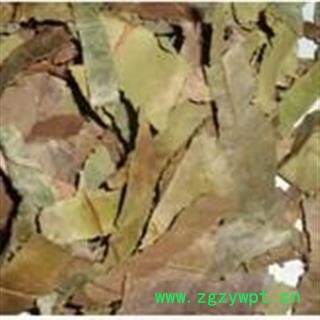 小丽百草行丁香叶 石楠叶图2