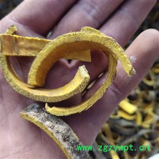 川黄柏 川黄柏选货 中丝 无杂质 产地 四川省成都市图3