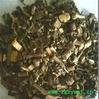 小丽百草行  广东紫珠 紫珠草 紫珠柴图3