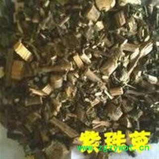 小丽百草行  广东紫珠 紫珠草 紫珠柴图2