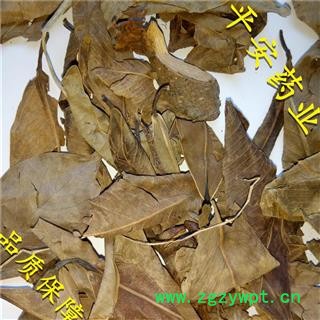 平安药业 榕树叶 小榕叶 正品 促销图2