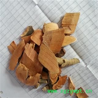 小丽百草行木莲 木莲藤 霹雳藤 木馒头藤图3