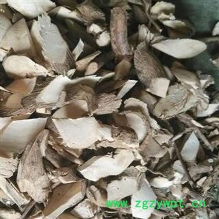 小丽百草行黄花倒水莲  黄花大远志 观音串 黄花远志 吊黄 倒吊黄花图2