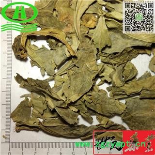 世元药业 龙利叶 正品 别称 龙脷叶 龙舌叶 龙味叶 牛耳叶图2