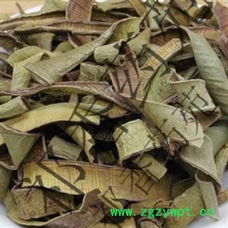 诺源药材行芦荟 统 产地 云南图2