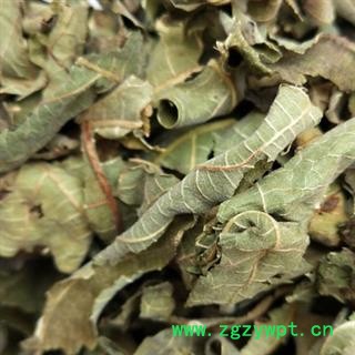 诺源药材行中药材优质中药无花果 无花果叶图2