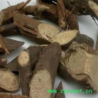 中药材了哥王统片 产地广东省 尽在中药材诚实通安国市场批发零售大全图2