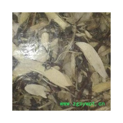 中药材了哥王统片 产地广东省 尽在中药材诚实通安国市场批发零售大全