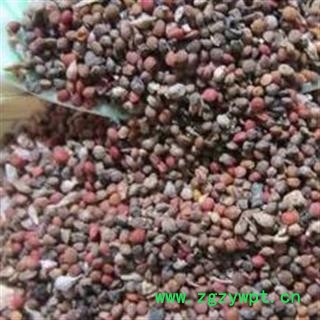 诺源药材行中药材楮实子 彀木子 纱纸树图2