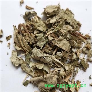 诺源药材行中药材正品白背叶 白鹤叶 白面风图2