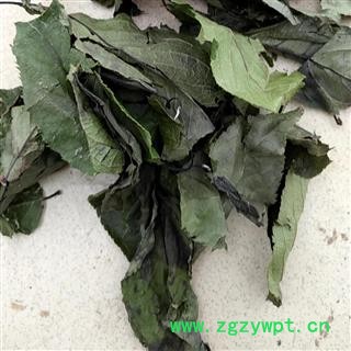 诺源药材行中药材 杜仲 杜仲叶图2