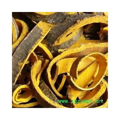 诺源药材行优质黄柏 川黄柏 无硫新货 另有关黄柏