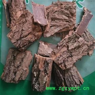 诺源药材行正品实拍梓白皮  梓实 梓树皮图2