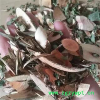 安祁名药正品漆大姑  毛七公 大毛七 算盘子野南瓜图2